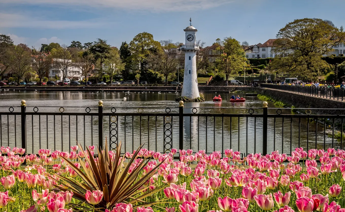 Trusted Builder in Roath - Roath Park